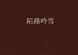 证监会要求蜜雪冰城出具补充材料:涉个人信息使用,前期申请A股上市情况等