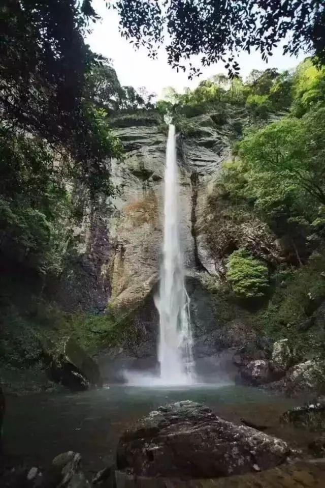 八款食物来祛湿化痰,为您健康保驾护航